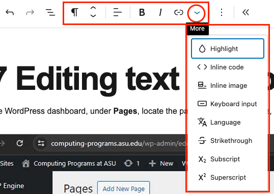 A screenshot of the WordPress text editing menu with the "More" menu expanded to show additional options.