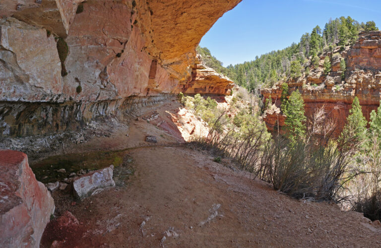 Photo of the Cliff Springs trail in Grand Canyon State Park back towards the trailhead.