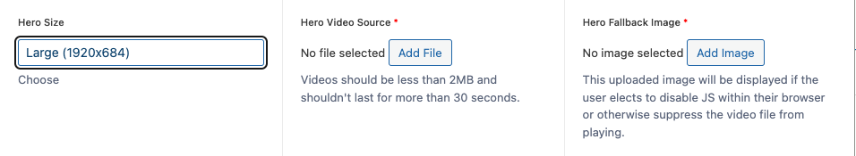 screenshot of the options which must be selected for a UDS Video hero block.